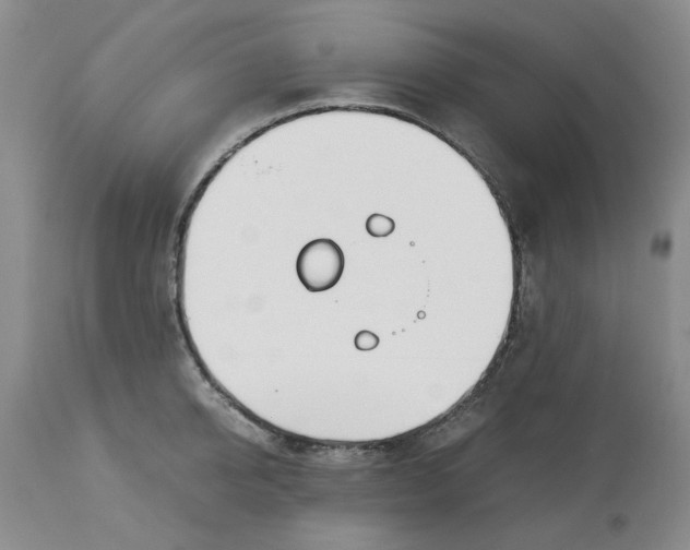 X0000113170950200909251414