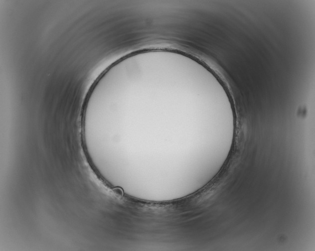 X0000113170951200909251414