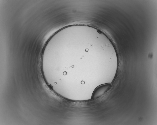 X0000113170952200909251414