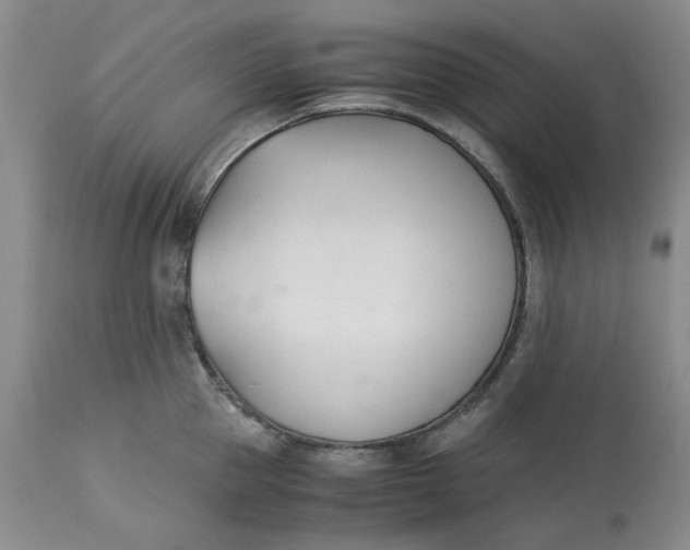 X0000113170953200909251414