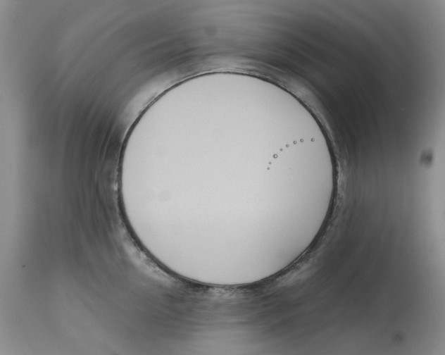 X0000113170954200909251414