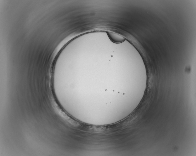 X0000113170955200909251414