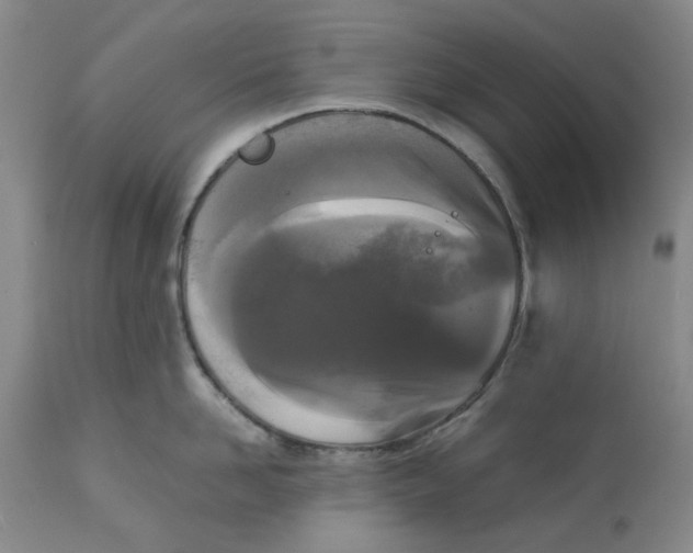 X0000113170958200909251414