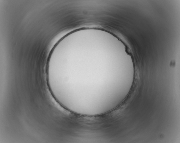 X0000113170959200909251414