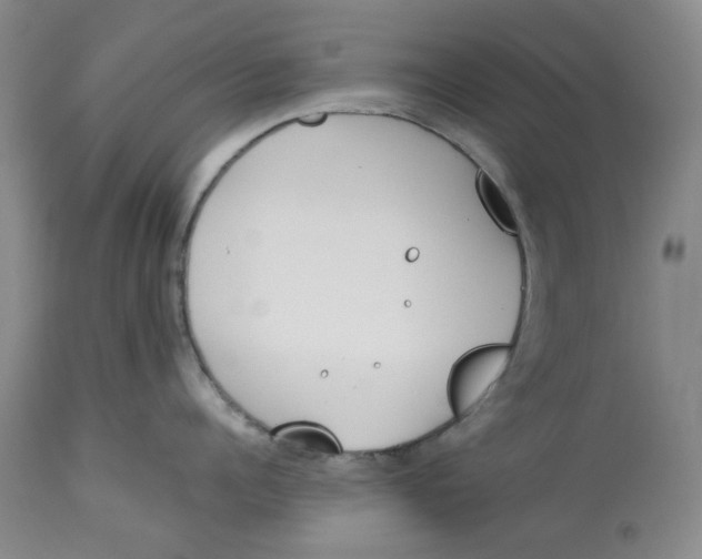 X0000113170960200909251414