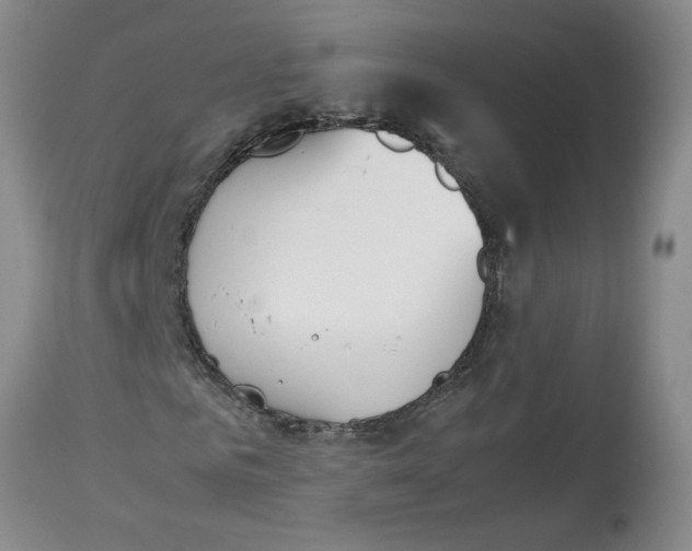 X0000113170961200909251413