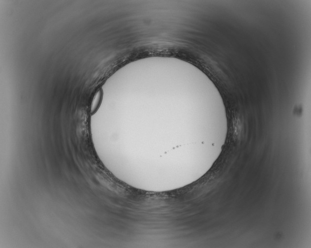 X0000113170964200909251413