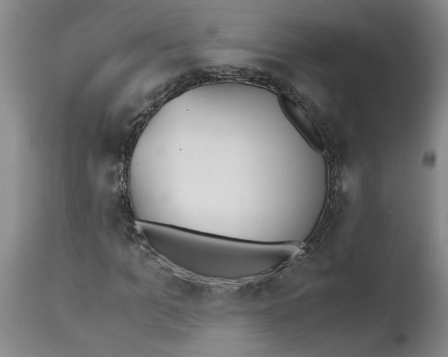 X0000113170965200909251413