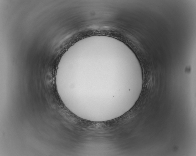 X0000113170966200909251413