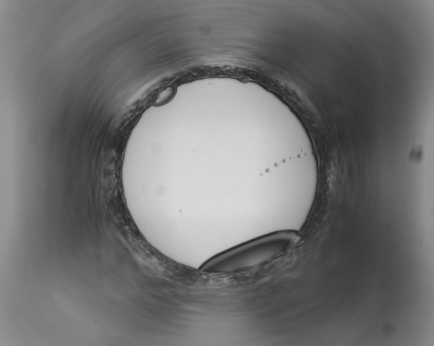 X0000113170968200909251413