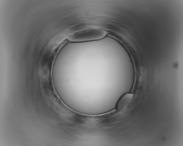 X0000113170969200909251413