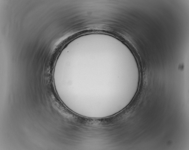 X0000113170971200909251413