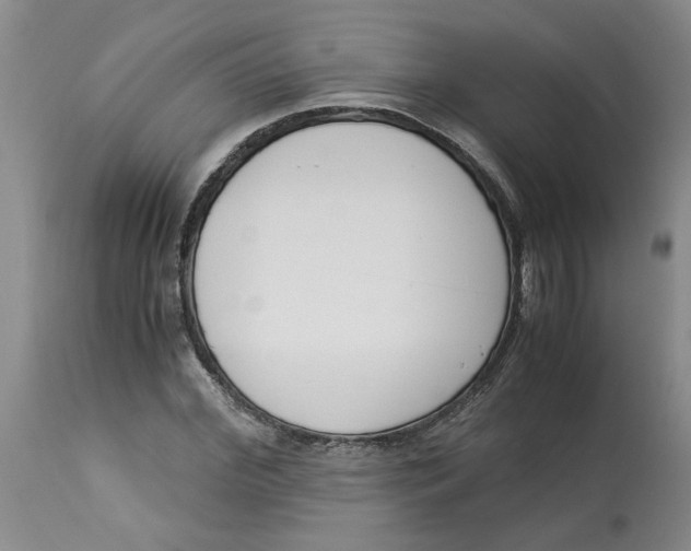 X0000113170972200909251413