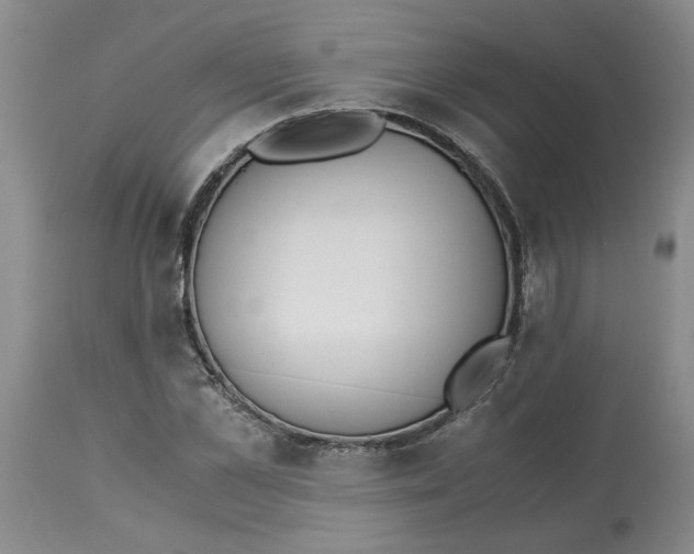 X0000113170973200909251413