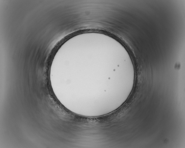 X0000113170975200909251413