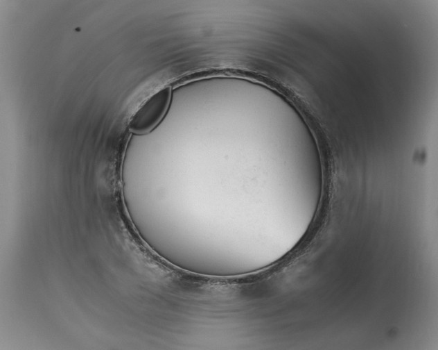 X0000113170977200909251413