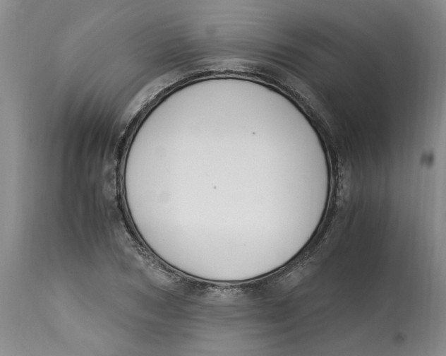 X0000113170978200909251413