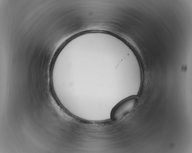 X0000113170980200909251413