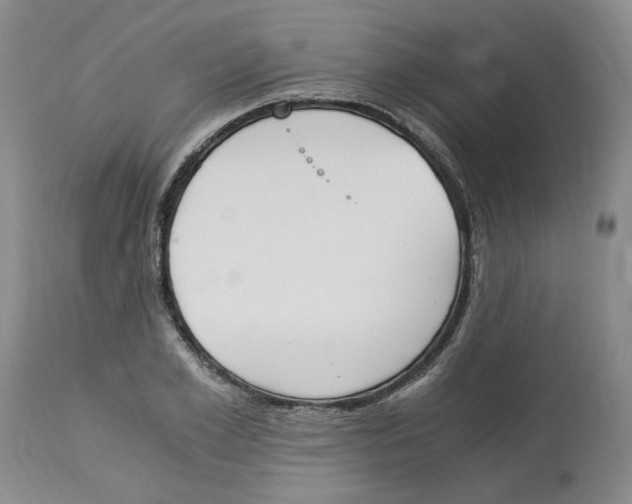 X0000113170981200909251413