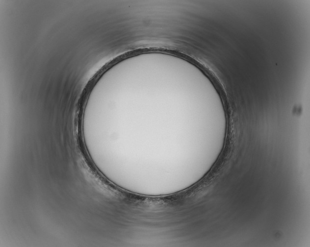 X0000113170983200909251413