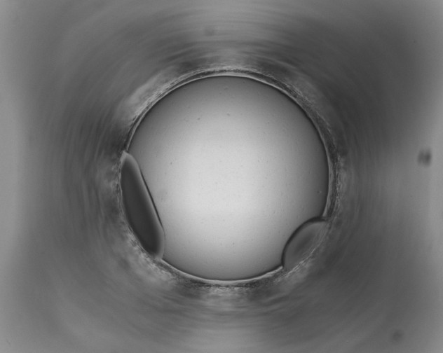 X0000113170985200909251413