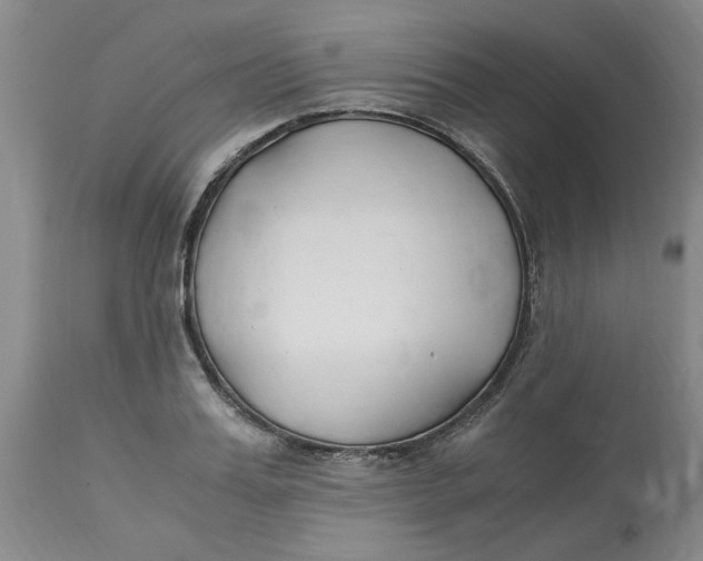 X0000113170987200909251413