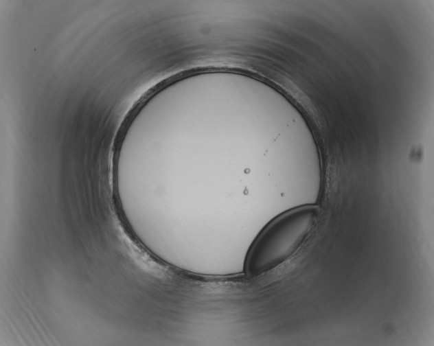 X0000113170988200909251413