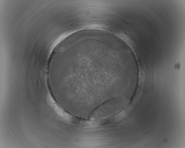 X0000113170989200909251413