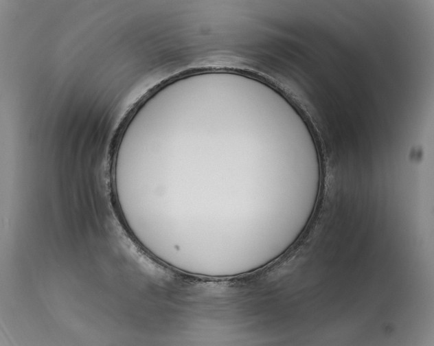 X0000113170990200909251413