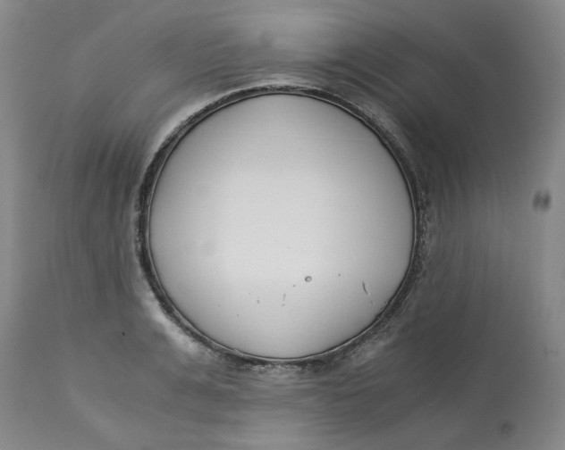 X0000113170991200909251413