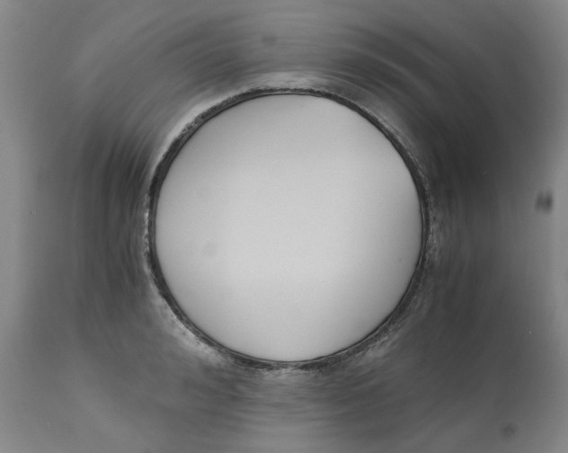 X0000113170992200909251413