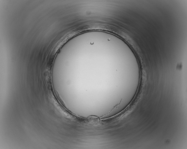 X0000113170993200909251413