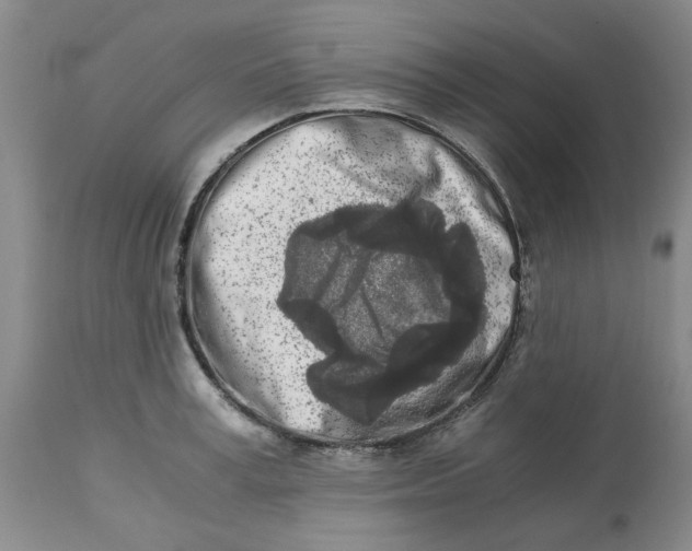 X0000113170995200909251413