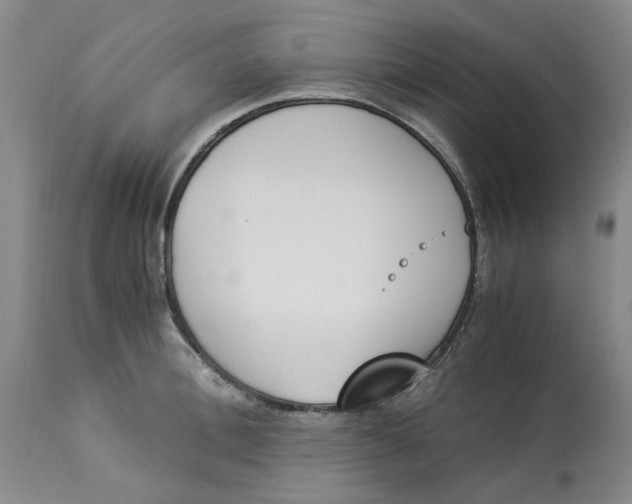 X0000113170996200909251413