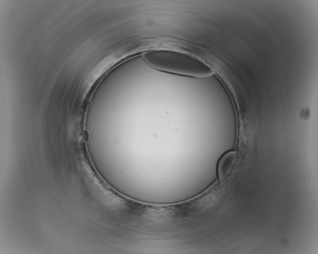 X0000113170997200909251413