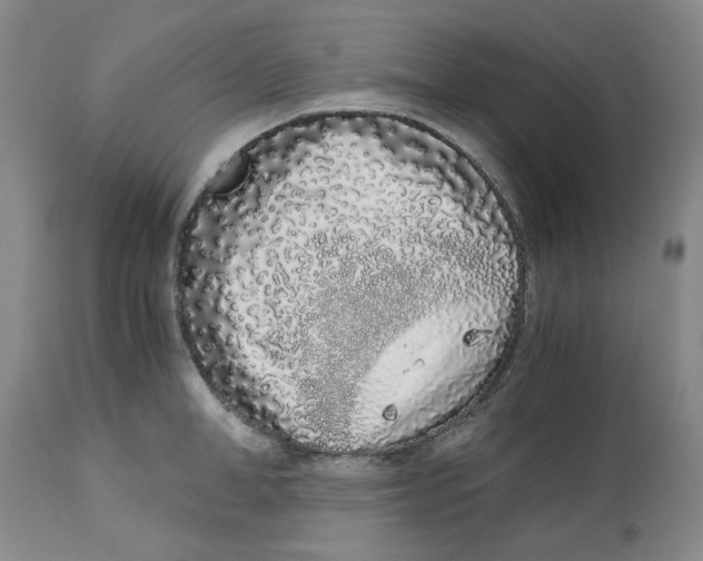 X0000113170998200909251413