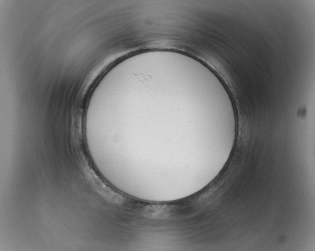 X0000113171000200909251412