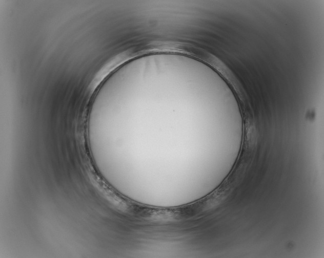 X0000113171002200909251412