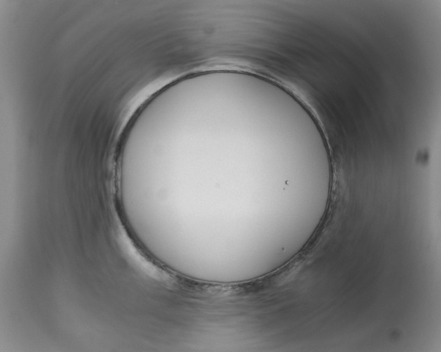 X0000113171003200909251412