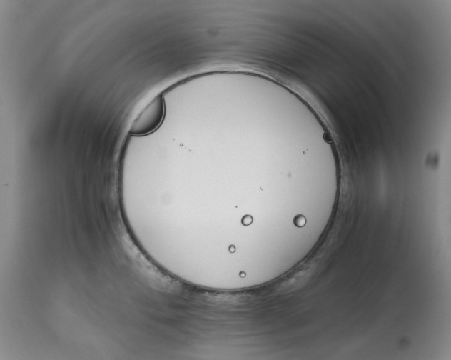 X0000113171004200909251412