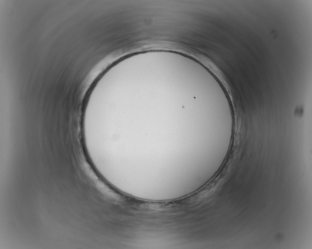 X0000113171005200909251412