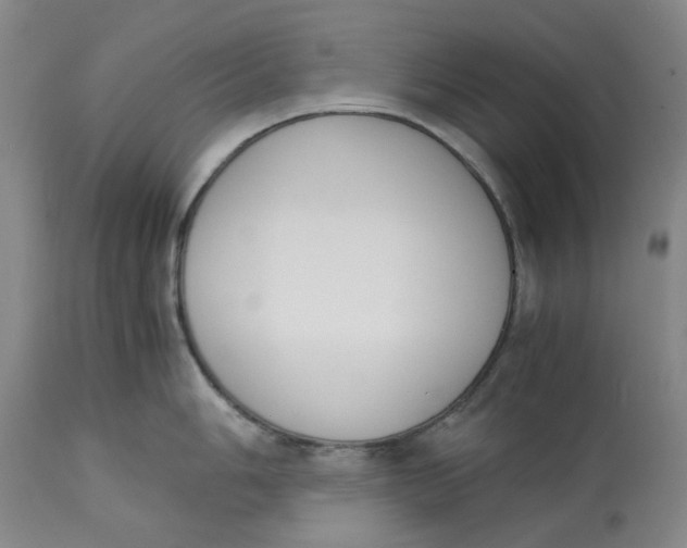 X0000113171006200909251412