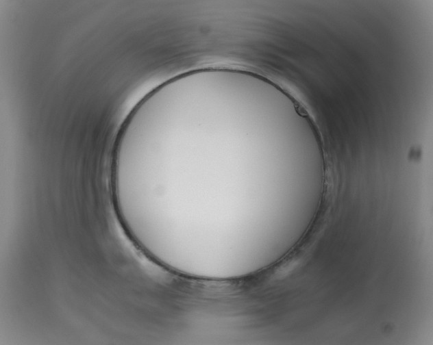 X0000113171007200909251412