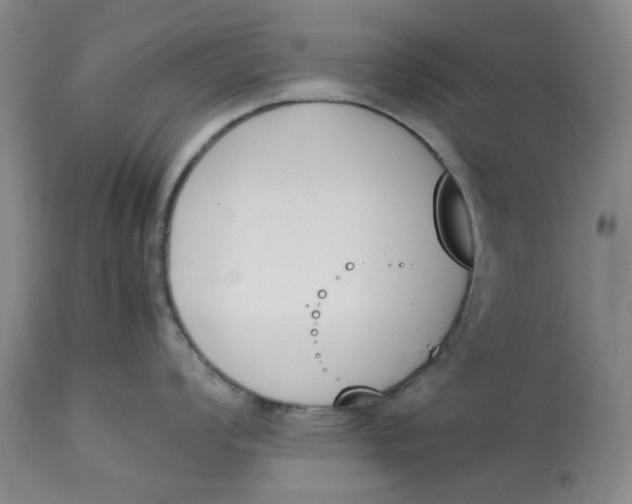 X0000113171008200909251412