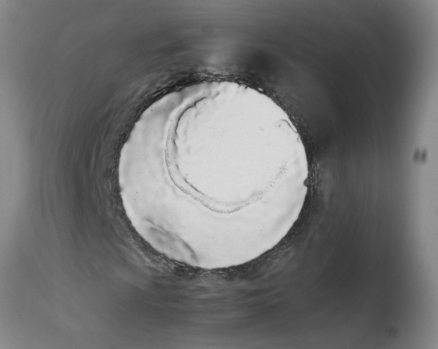 X0000113171009200909251412