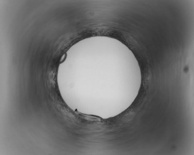 X0000113171010200909251412