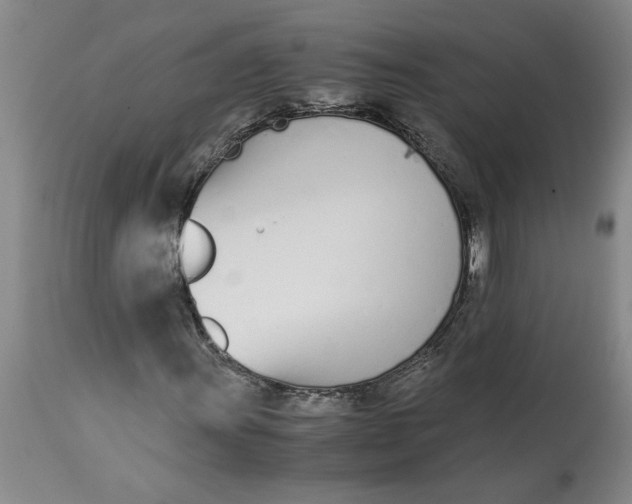 X0000113171011200909251412