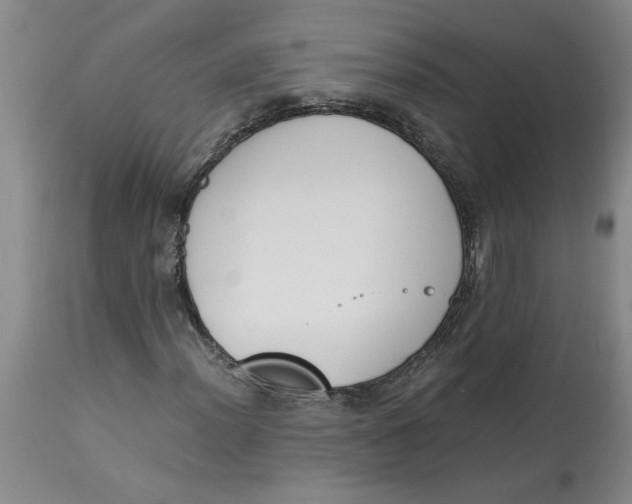 X0000113171012200909251412