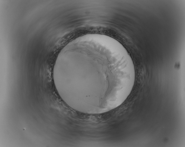 X0000113171013200909251412