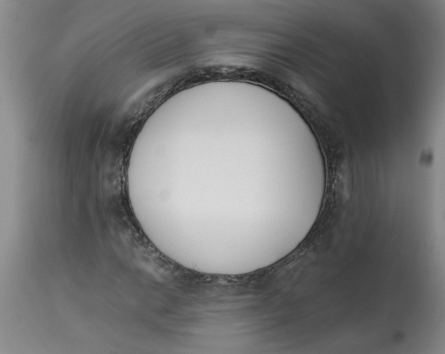 X0000113171014200909251412